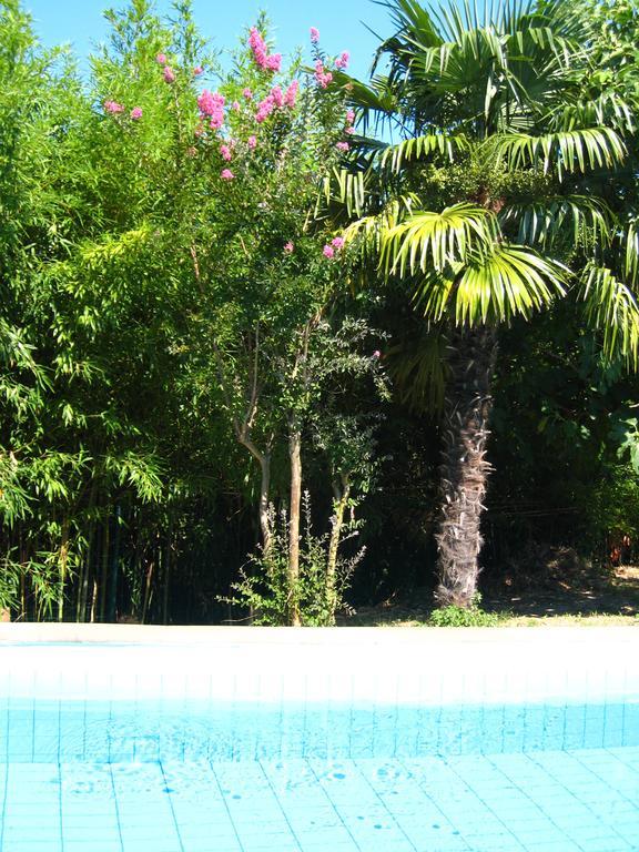 Apartment Apollonio Portoroz Phòng bức ảnh